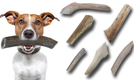 BuckeyBites Antler Chew Variety Pack with Assorted Sticks and Splits (1Lb. Packa