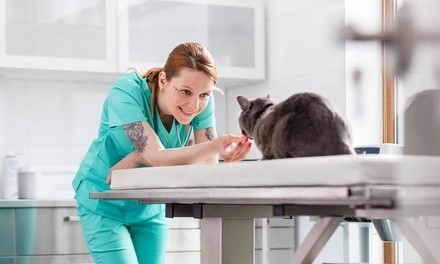 Microchipping or Annual Vaccine Package at Extra Care Animal Hospital (Up to 50% Off)