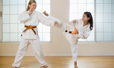 One Private Lesson and Four-Week Karate Lessons for Adults or Kids at Premier Martial Arts Karate & Krav Maga