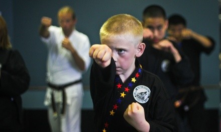 $47 for Two Weeks of Online or Onsite Karate Classes for One at Alpha Martial Arts ($$96.50 Value)