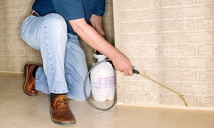 $51 for Indoor and Outdoor Pest Control from DFW Bug ($139 Value)