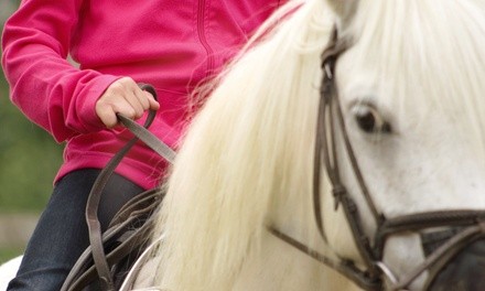 Two or Four 45-Minute Private Horseback-Riding Lessons at Ainsley Riding Academy (Up to 56% Off)