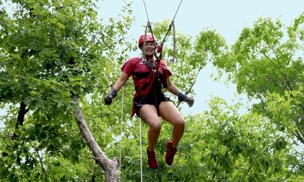 Swing Shot Ride for Two or Four at ZipQuest (Up to 53% Off)