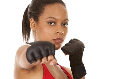 10 Boxing or Kickboxing Classes at Integrity Martial Arts (56% Off)