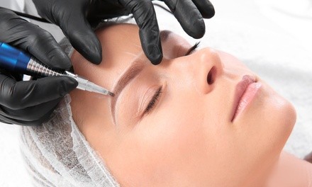 $249 for Microblading or Ombre Brows Session at Blink Ink Permanent Cosmetics ($500 Value)