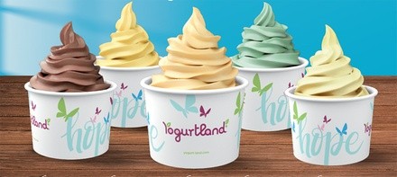 $10 For $20 Worth Of Frozen Yogurt