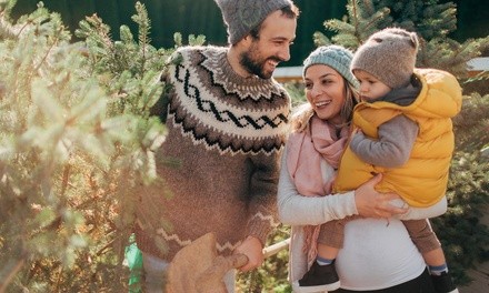 Mini or Full Family Portrait On-Location Photo Shoot from Joel Moses Photography (Up to 77% Off)