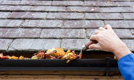 Gutter Cleaning for a One- or Two-Story Home Up to 2500 Square Feet from For The Love of Roofing (Up to 52% Off)