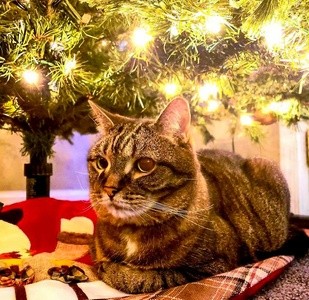 Up to 50% Off on Seasonal Photography at Memories By Salman