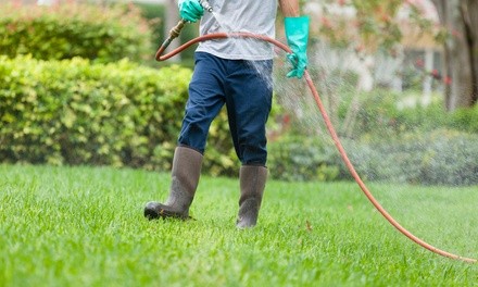 Seasonal Pest-Control Services for Up to 2,500 or 3,500 Square Feet from Nature Is My Office (Up to 44% Off)