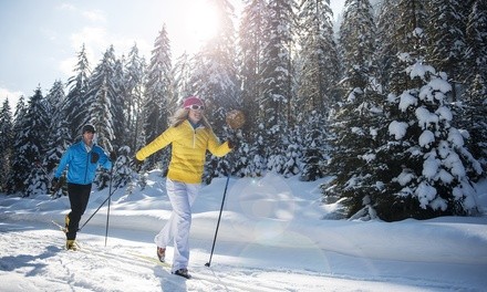 Beginner Group Ski Lesson from Colorado Cross Country Ski Association (Up to 34% Off). 