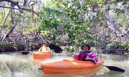 Kayak or Paddleboard Rental at South Miami Dade Marina And Eco Adventures (Up to 55% Off). 12 Options Available.