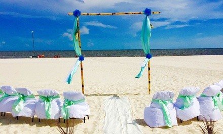 $234 Off $425 Worth of Wedding Officiant Services