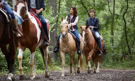 One-Hour Weekday Horseback Trail Ride for One or Two at JuRo Stables  (Up to 42% Off) 