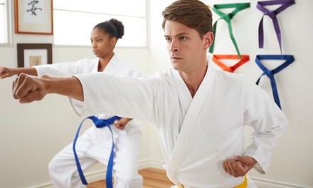 1, 3, or Unlimited Martial Arts Classes for One Adult or Child at Koulikov Grappling Academy (Up to 34% Off)