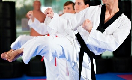 One Month of Unlimited Martial-Arts Classes or Birthday Party for Up to 25 Kids at National Martial Arts (Up to 66% Off) 