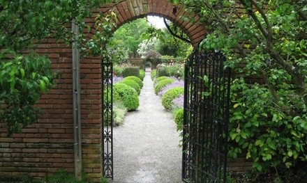 Spiritually-Guided Psychic Reading Session by Phone from Krista (Up to 50% Off). Two Options Available.