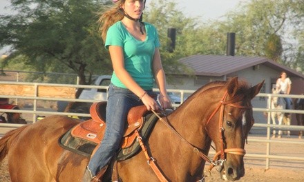 One or Two 60-Minute Group Horseback-Riding Lessons at S.T.A.R.S. of Horsemanship (Up to 55% Off)