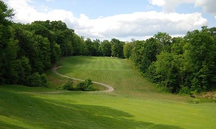 18 Holes of Golf or Golfing Memberships at Pheasant Ridge Golf Club (Up to 78% Off). 4 Options Available. 