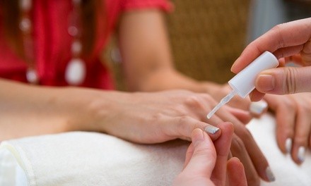 Up to 45% Off on Nail Spa/Salon - Shellac / No-Chip / Gel at Nails by Christina