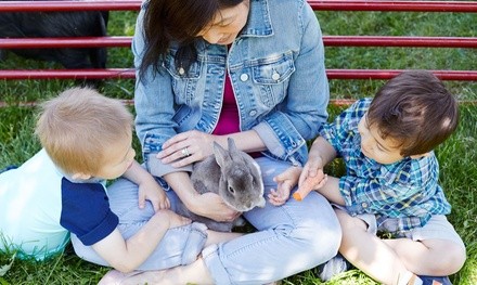 Wildlife Tour for One Adult or One Adult and One Child at Odessa Wildlife Rescue and Sanctuary (Up to 50% Off) 