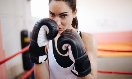 Two or Four 60-Minute Private Training Sessions with Boxing Coach at Westchester Boxing Club Up to 44% Off)