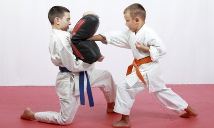 $171 for One Two-Hour Kids Martial Arts Party for Up to Twenty at Babalu's Iron Gym ($300 Value)