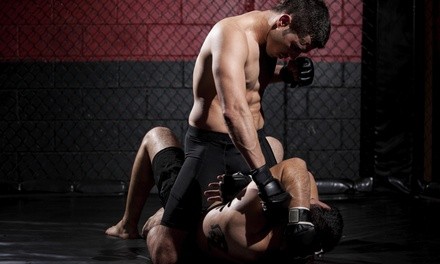 Eight Weeks of Unlimited Martial Arts Classes at Victory Combat Academy (50% Off)