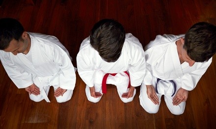 Up to 67% Off on Martial Arts Martial Fitness Taekwondo