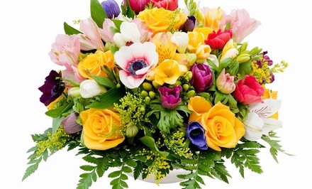 $25 Off $50 Worth of Flowers & Plants
