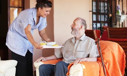One or Three Two- or Five-Hour Disabled-Persons- or Senior-Care Visits from A Helping Hand (Up to 62% Off)