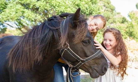 $39 for a One-Hour Private Horseback-Riding Lesson at Robinson Ranch ($60 Value)