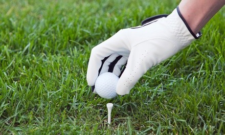 Two- or Four-Hour Driving Range Party on a Weekday or Weekend at The Long Drive Driving Range (Up to 55% Off)