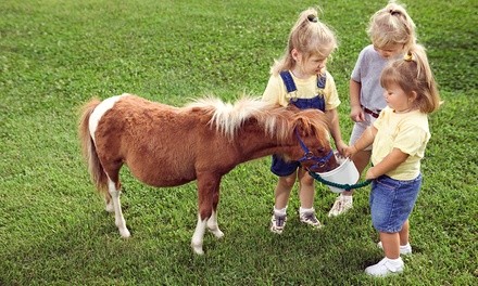 $249.50 for Pony Party Package at Pony Tales Farm ($375 Value)