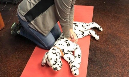 Canine and Feline CPR and First Aid or First Aid for Horses Course from Pet Emergency Academy (Up to 51% Off)