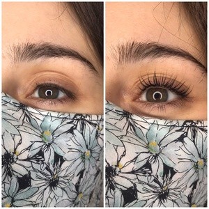 Up to 40% Off on Eyelash Perm at Lash Habit