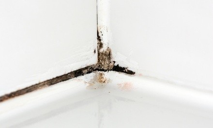 $200 for $425 voucher — Balanced Home& Mold Inspections