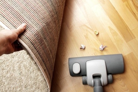 $75 for $170 Worth of Rug and Carpet Cleaning — Grey White Solutions