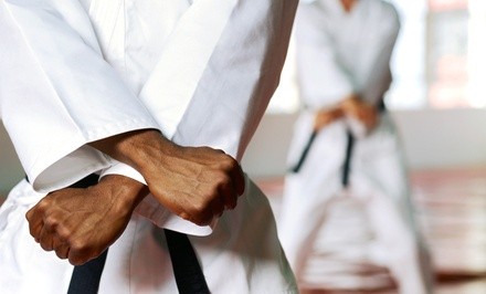 $82 for One Month of Martial Arts Classes With Uniform and T-Shirt ($195 Value)