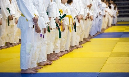 Up to 77% Off on Martial Arts Training for Kids at Park's Martial Arts