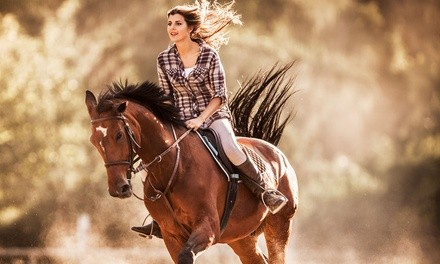 One or Two Horseback Riding Lessons at Ivory Creek Farm (Up to 50% Off)