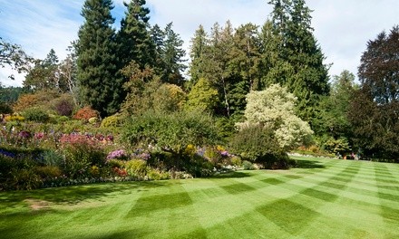 Up to 10% Off on Lawn Mowing Service at Weil lawn care