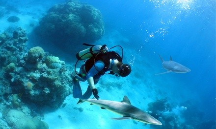 Up to 40% Off on SCUBA (Activity / Experience) at Scubatyme Scuba Charters