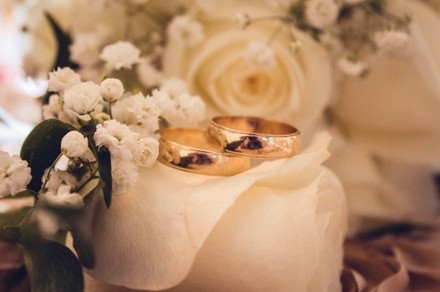 Up to 50% Off on Seasonal Photography at Erica Taylor Photography