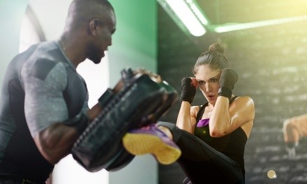 Fitness/Cardio Kickboxing Classes with Gloves at USA Martial Arts (Up to 74% Off). Two Options Available.