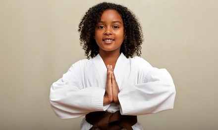 $75 for 4 Weeks of Trial Martial Arts Classes with Uniform for 1 Child at Metro United Karate ($99 Value)