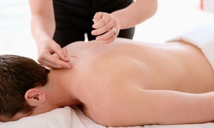 One, Three, or Six Acupuncture Treatments at Healthquest Wellness Center (Up to 79% Off)