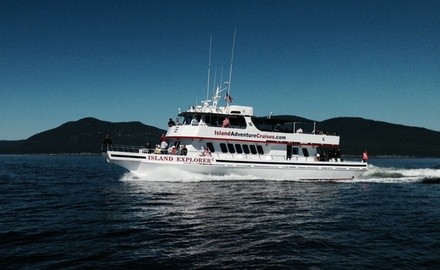 $49 for Gray Whale Watching Tour from Island Adventures from February 13 through May 31 ($69 Value)