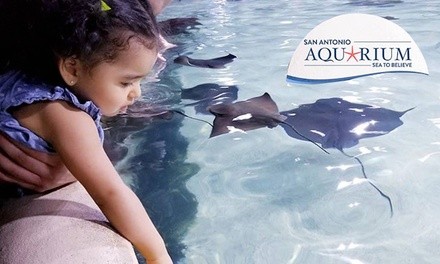 Admission for Two or Four Adult Tickets at San Antonio Aquarium (Up to 30% Off). Three Options Available. 