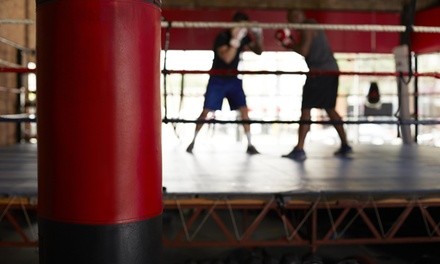 $50 Off $100 Worth of Boxing / Kickboxing - Training